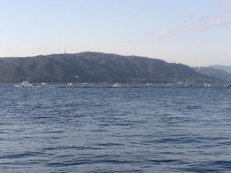 またまたブリ~ の子供