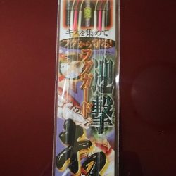 良型キスが釣れ始めました