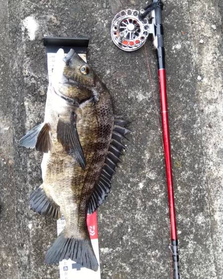 朝練してきました