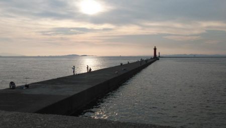 少しづつキスの型が良くなりました