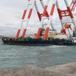 台風通過後の播磨新島キス調査