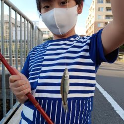 子供のお供に！