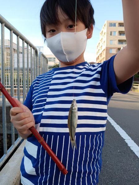 子供のお供に！