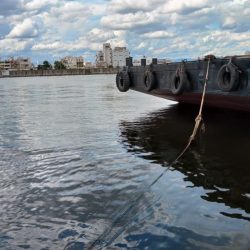 ぶら岸ジギ！！