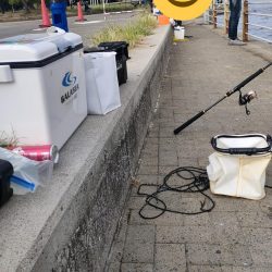 南港魚釣園は爆釣、一方シーサイドコスモは…