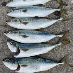 ショアジギング