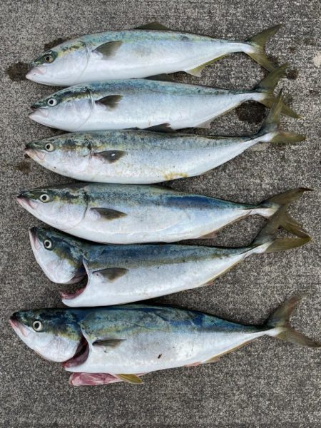 ショアジギング