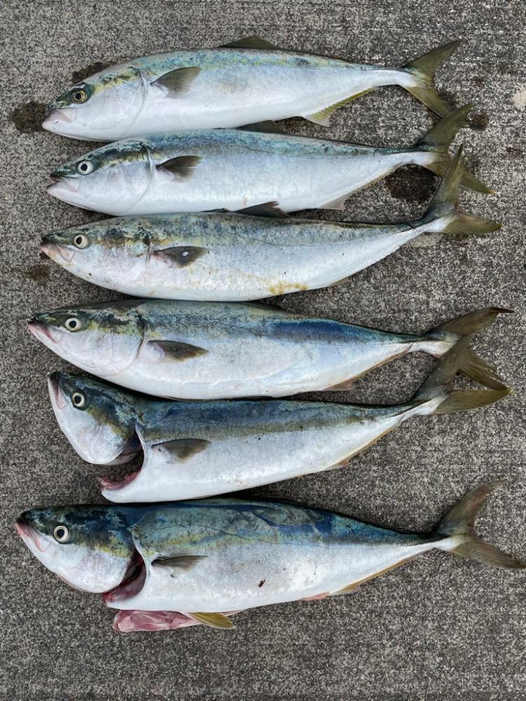 ショアジギング