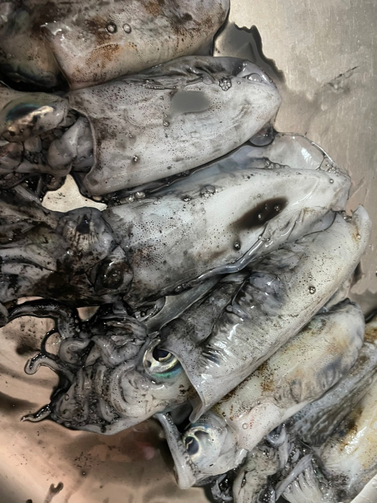 初めて投稿します。