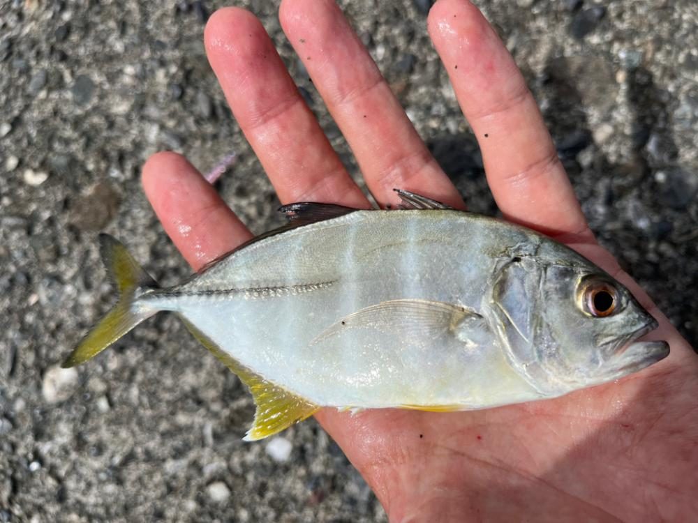 隙間時間ライトゲーム