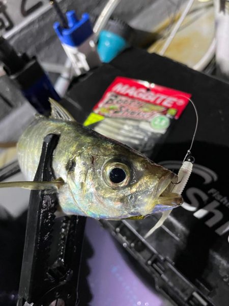 バチコンシーズン開幕！