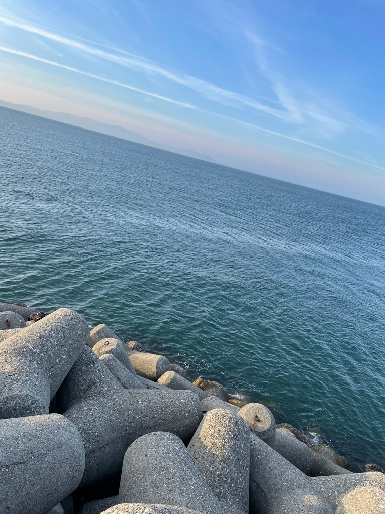 アオリイカ、シオ