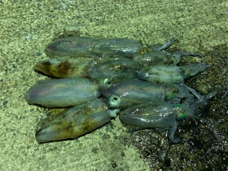 今年はまだ早い？