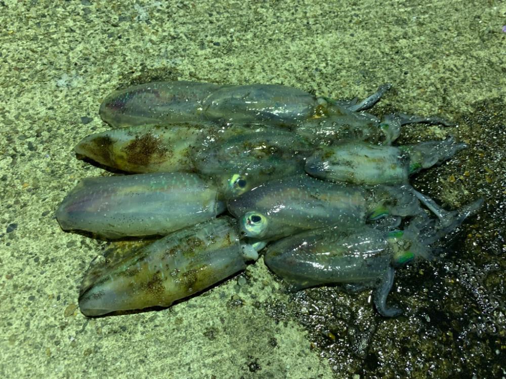 今年はまだ早い?