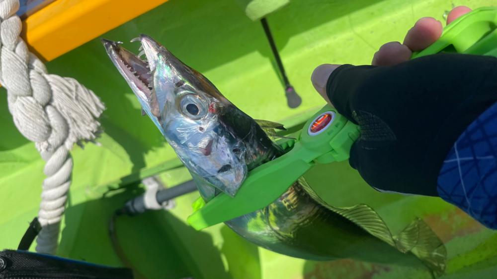 タチウオ（五目？）ジギング？？