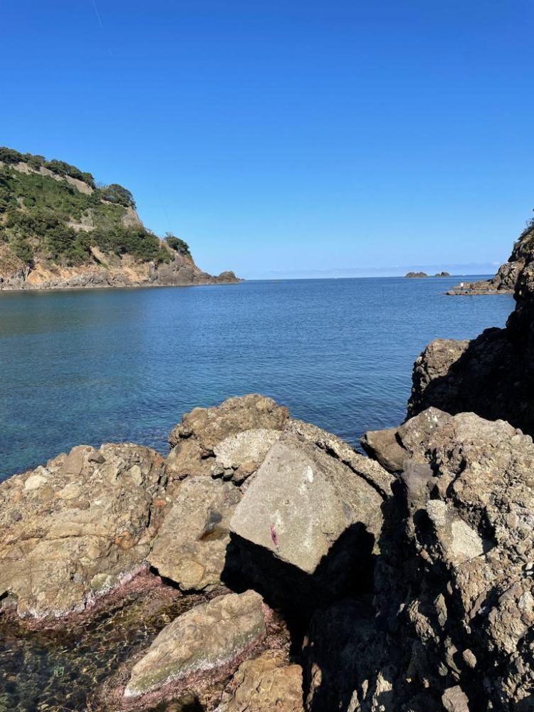 変わらず好調、日本海エギング