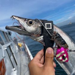 太刀魚テンヤでデブゴン連発！