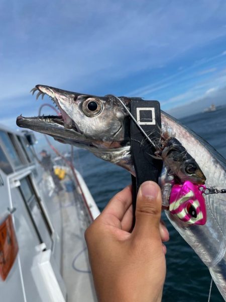 太刀魚テンヤでデブゴン連発！