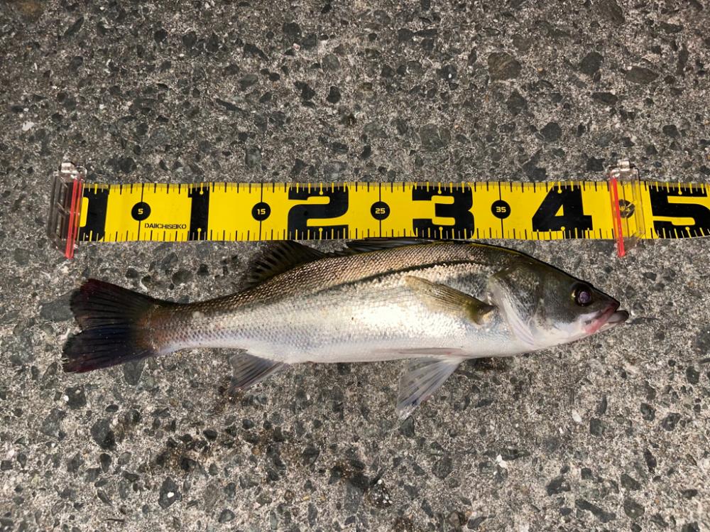 再現性を求めて