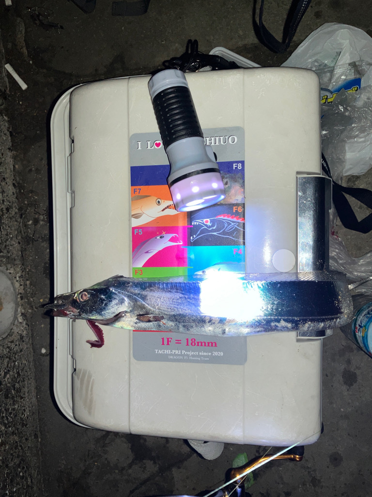 今日もパワーシャッドで…