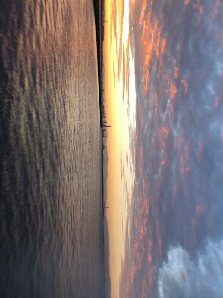 ハマチと今年初サゴシ