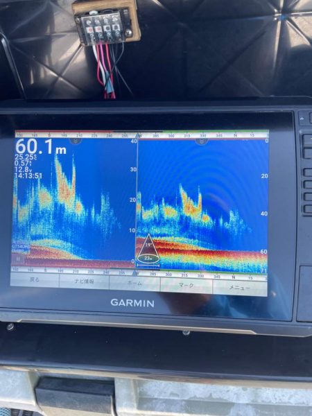 ヒラマサジギング