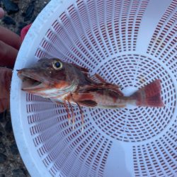 引き釣り出来なくて……