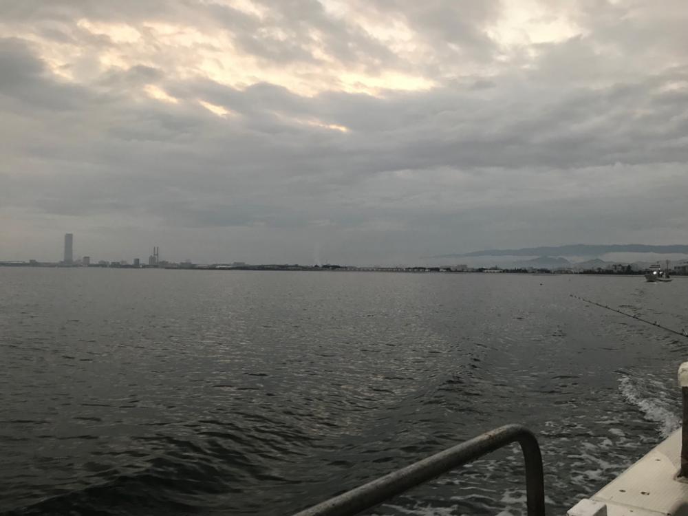 神戸沖のタチウオ