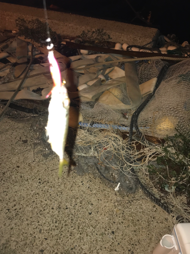 アジング&ライトエギング