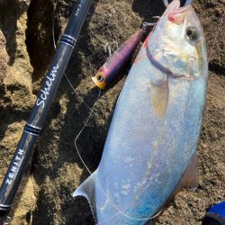 ショアキャスティング、ショアジギング