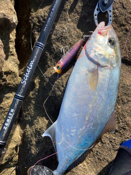 ショアキャスティング、ショアジギング