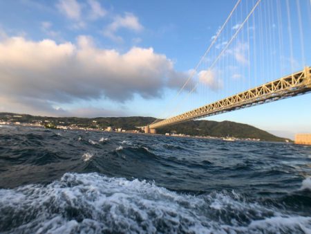 秋の青物は気まぐれでした…