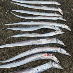 太刀魚狙いの釣り