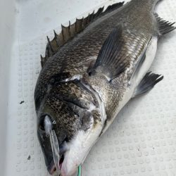 ボートシーバスゲーム