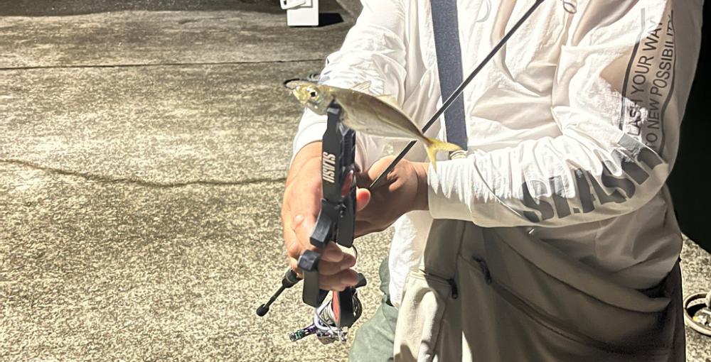 アジングという名の五目釣り