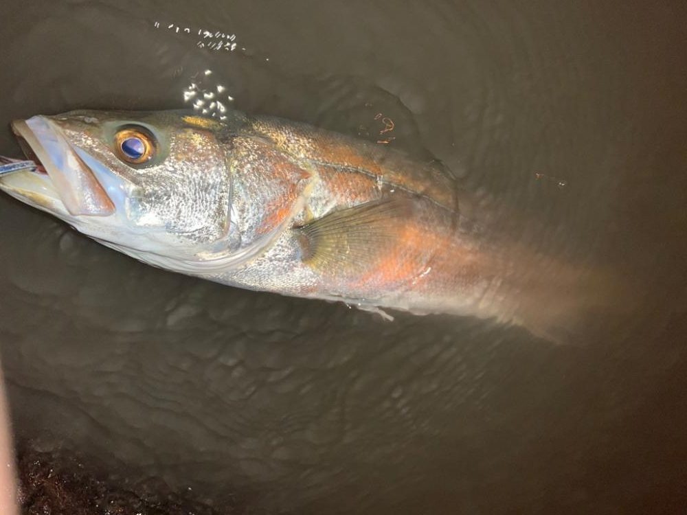 バイブレーションのショートリフト&フォール