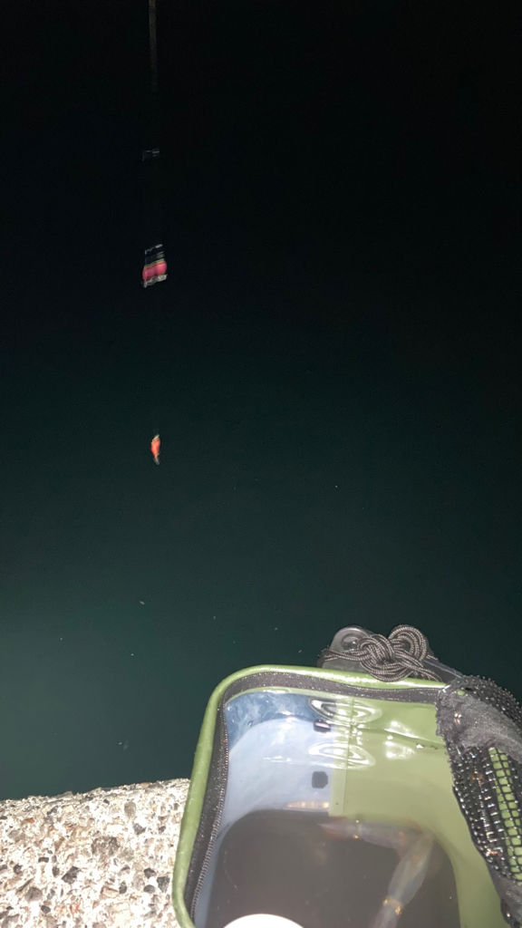 ベイカ？エギング