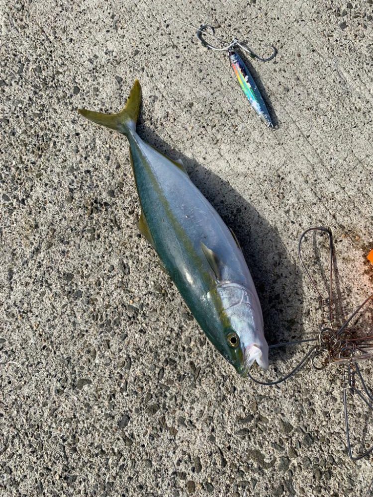 帰り際になんとか！