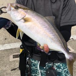 夏の終わりのシオは元気です！