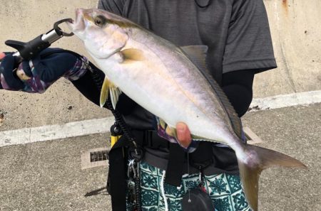 夏の終わりのシオは元気です！