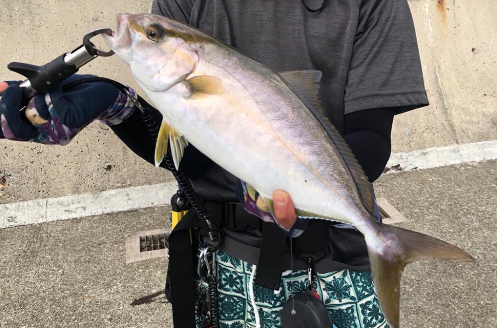 夏の終わりのシオは元気です!