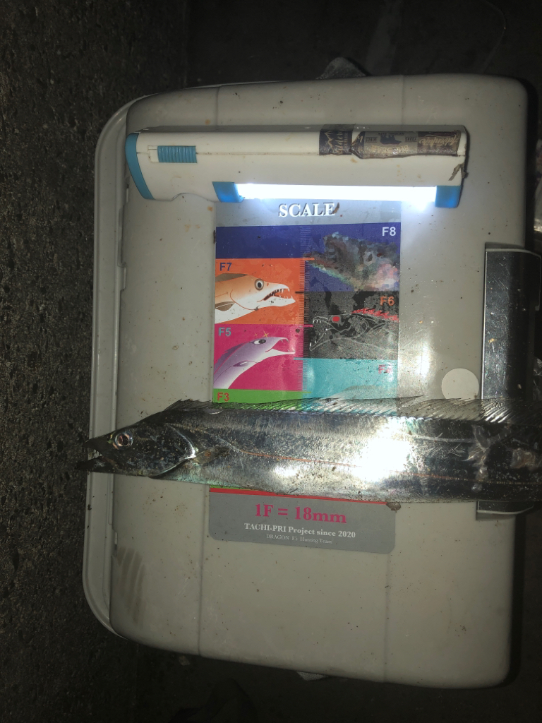 パワーシャッド凄え！