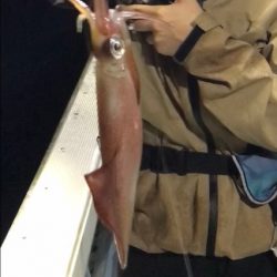 過酷なイカメタル