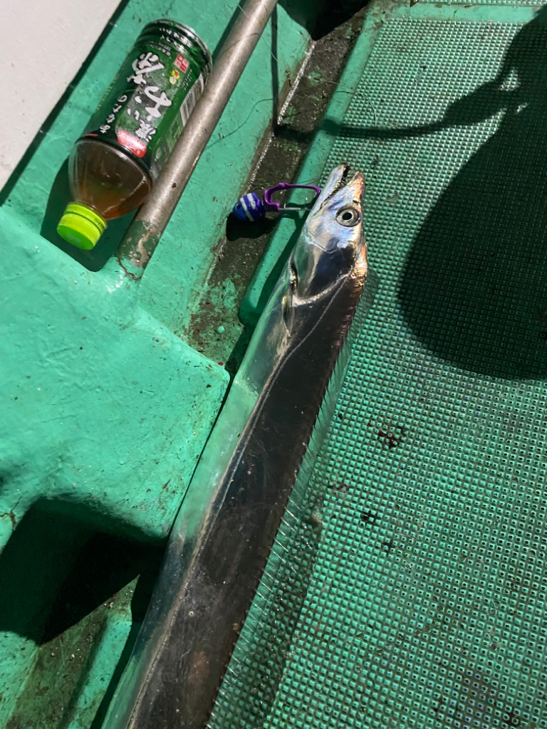 テンヤタチウオ