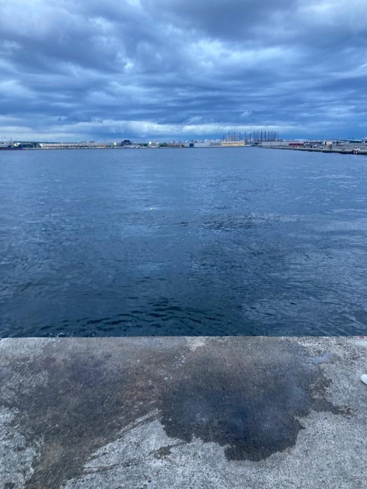 サヨリ釣りin西宮ケーソン