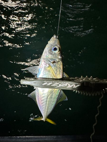 ボートアジング