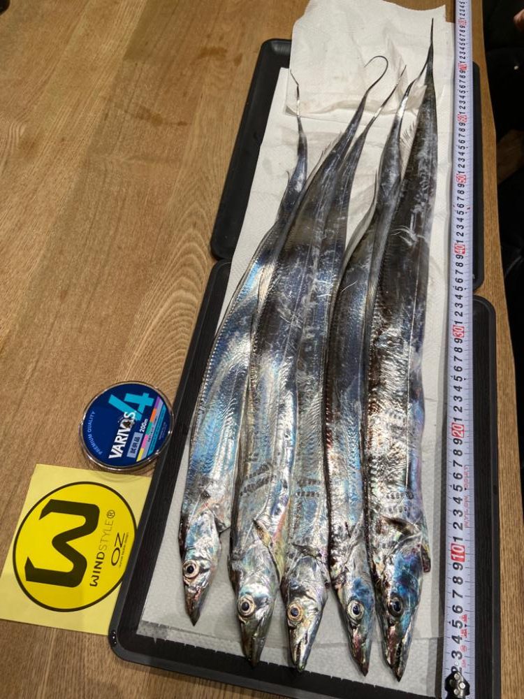 ワインドの日！？ワインドの連続ダートアクションで連発♪かこ