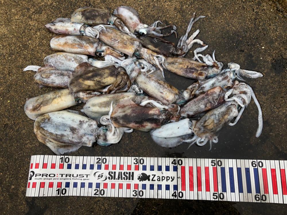 ランガン楽し♪