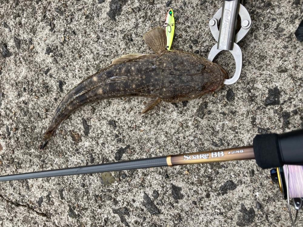 ロッド入魂完了