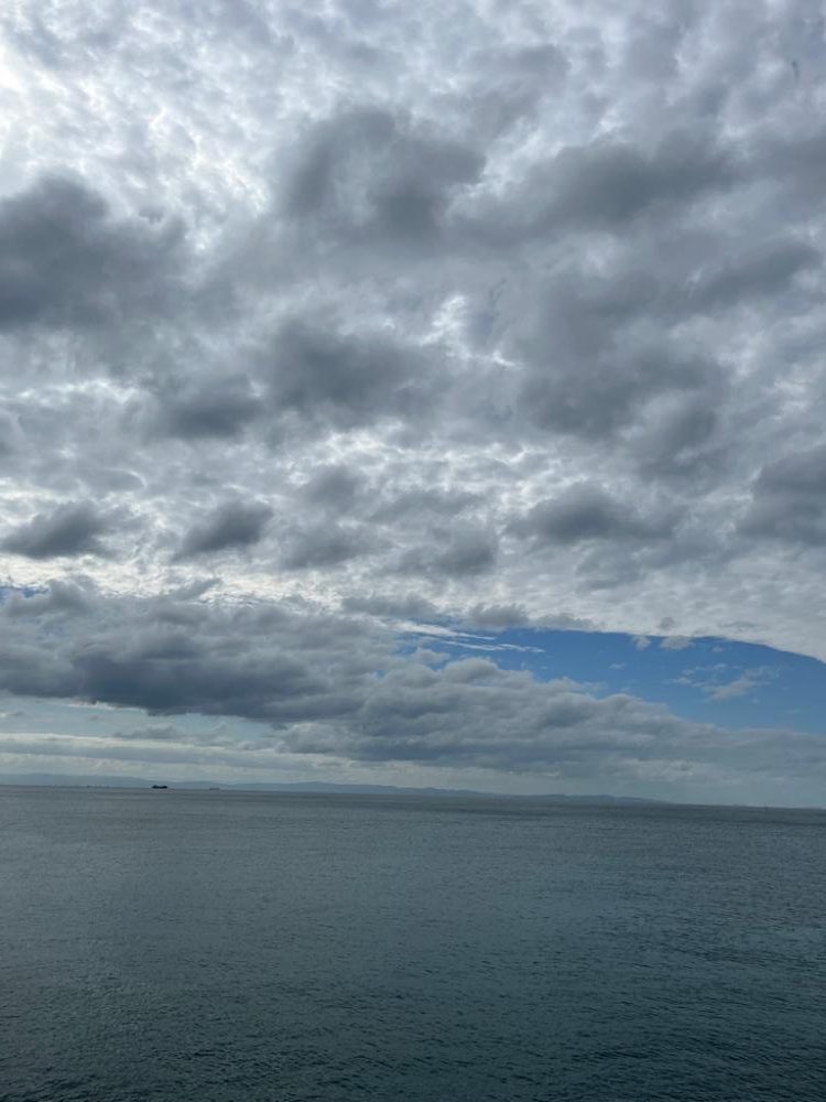 神明、こないだバラしたデカいヤツ